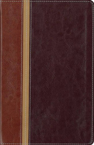 NIV, The Message, Parallel Study Bible, Personal Size, Imitation Leather, Brown/Red: Updated Numbered Edition