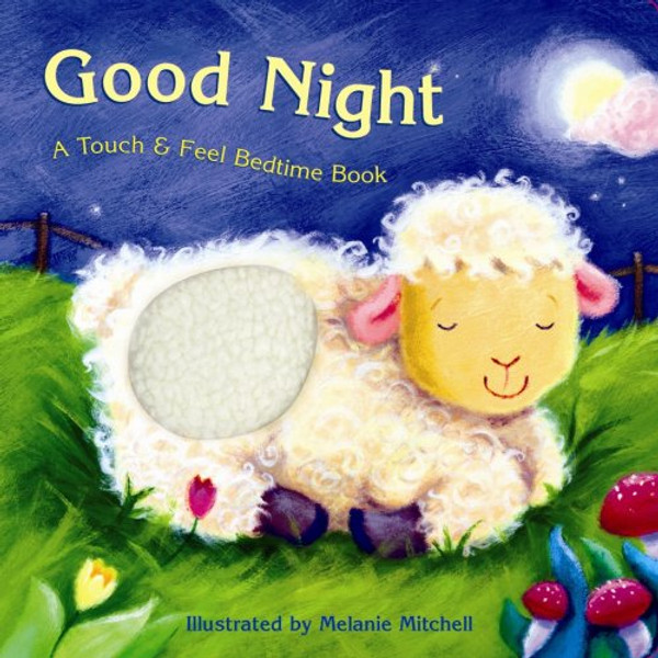 Good Night: A Touch & Feel Bedtime Book