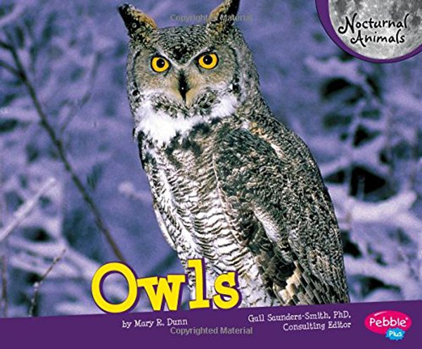 Owls (Nocturnal Animals)