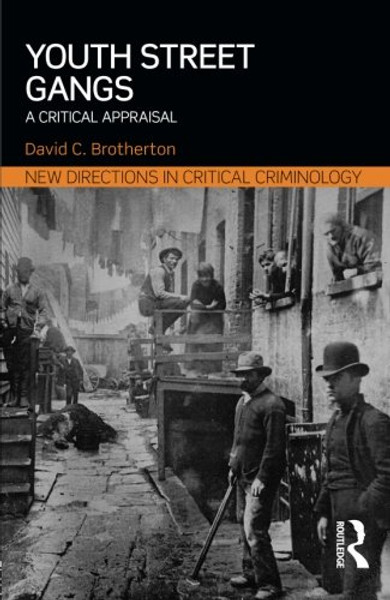 Youth Street Gangs: A critical appraisal (New Directions in Critical Criminology)