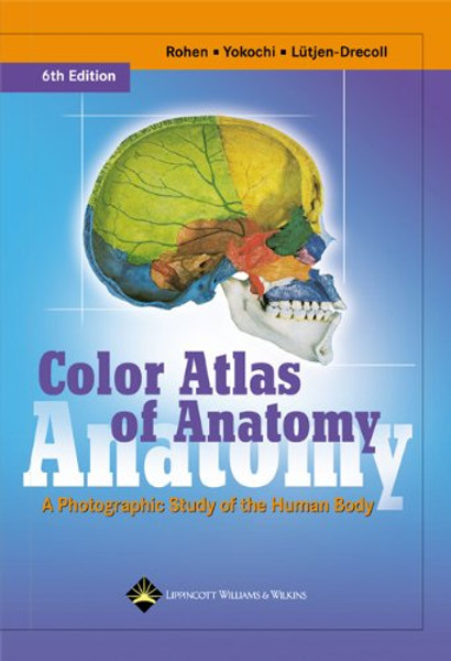 Color Atlas of Anatomy: A Photographic Study of the Human Body (Color Atlas of Anatomy (Rohen))