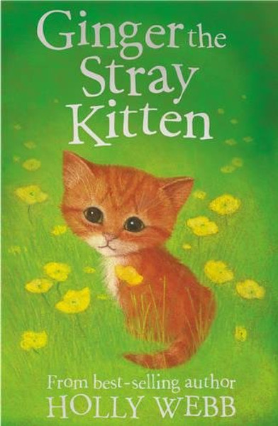 Ginger the Stray Kitten (Holly Webb Animal Stories)