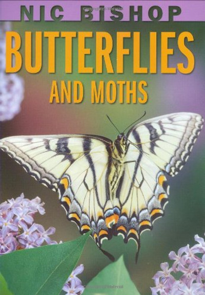 Nic Bishop: Butterflies and Moths