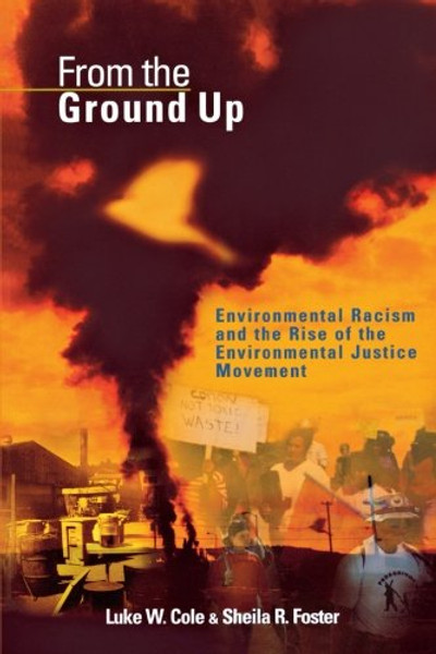 From the Ground Up: Environmental Racism and the Rise of the Environmental Justice Movement (Critical America)