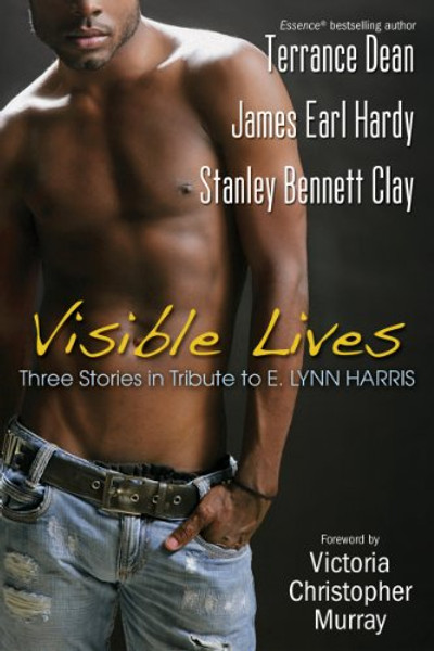 Visible Lives:  Three Stories in Tribute To E. Lynn Harris