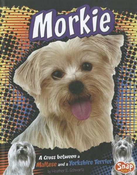 Morkie: A Cross Between a Maltese and a Yorkshire Terrier (Designer Dogs)