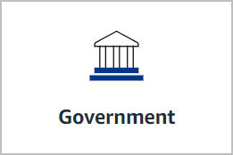 Government