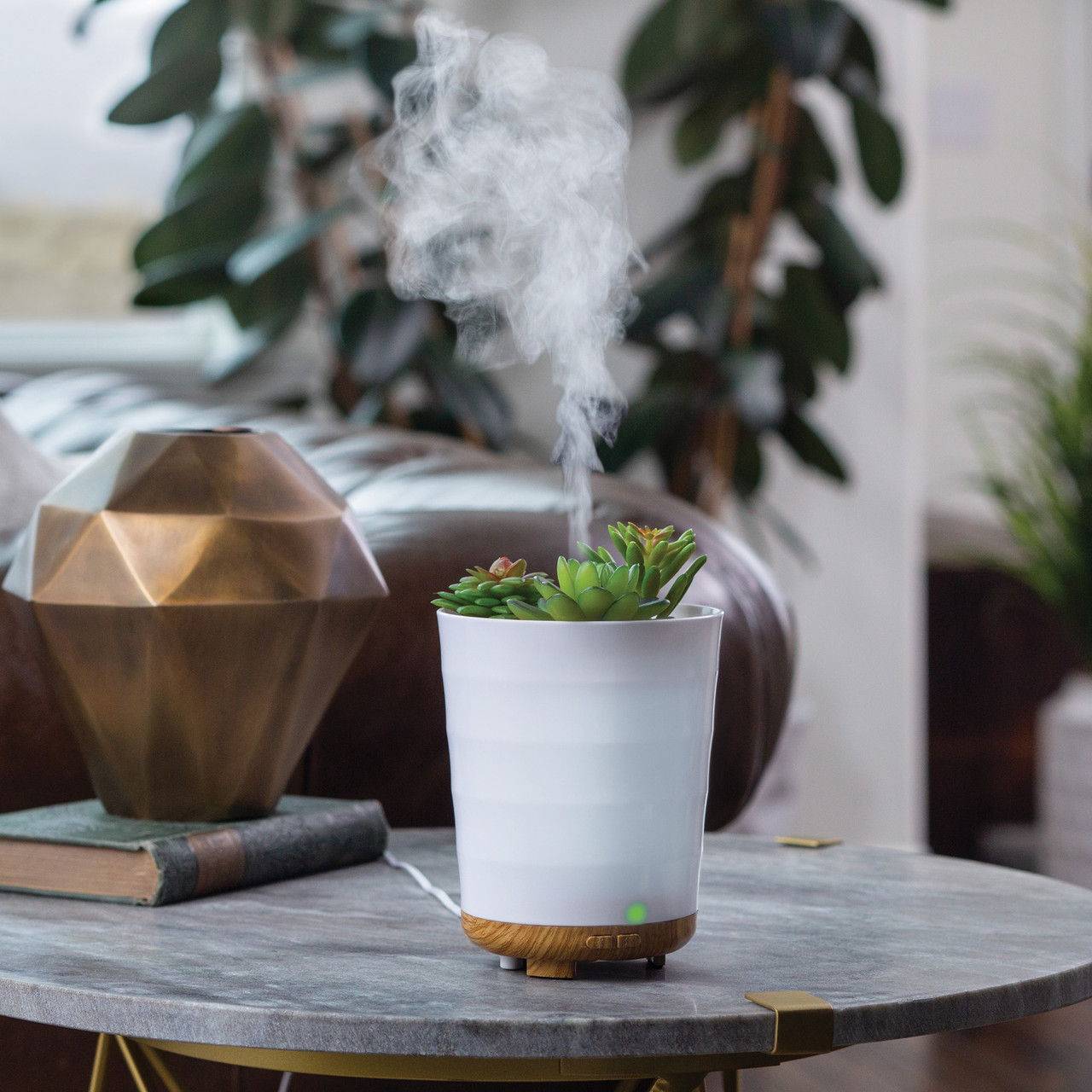 Potted Succulent Medium Ultra Sonic Diffuser