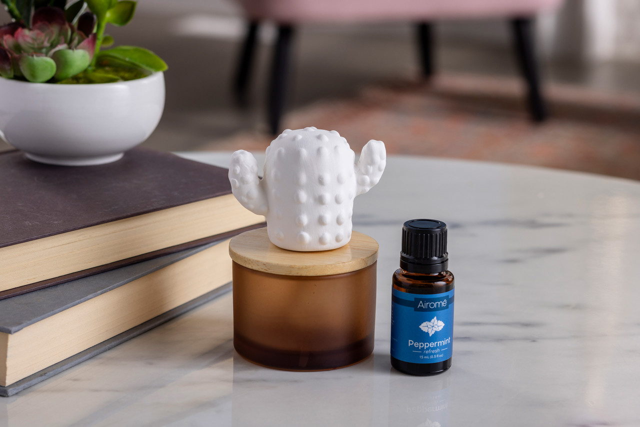Cactus Porcelain Diffuser