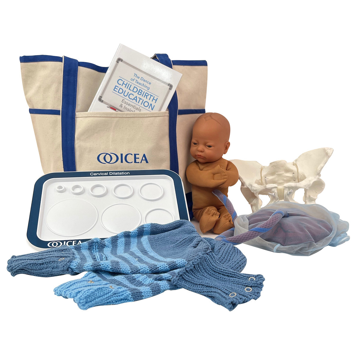Childbirth Model Set with Flexible Pelvis | No Sales Tax | Cascade ...