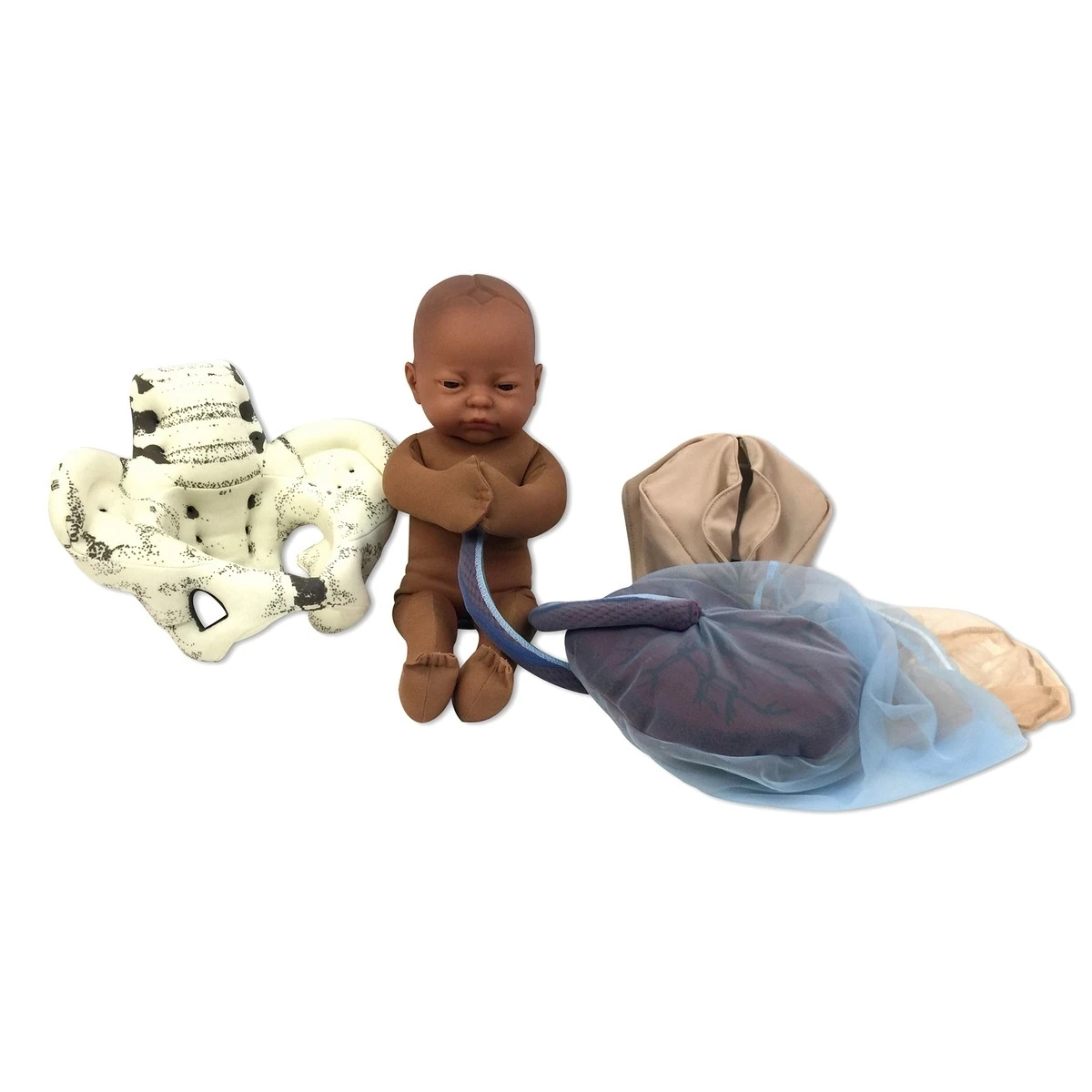 Childbirth Delivery Model Set with Cloth Pelvis | No Sales Tax ...