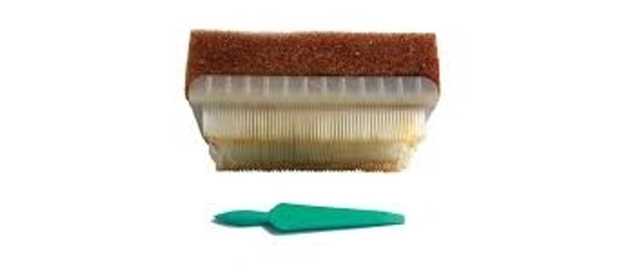 Hibiclens Scrub Brush - In His Hands Birth Supply