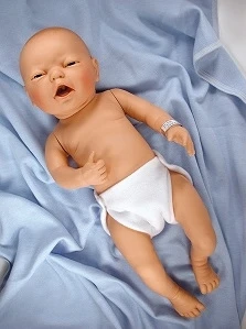 sex education baby dolls Breastfeeding Education Model | Dolls