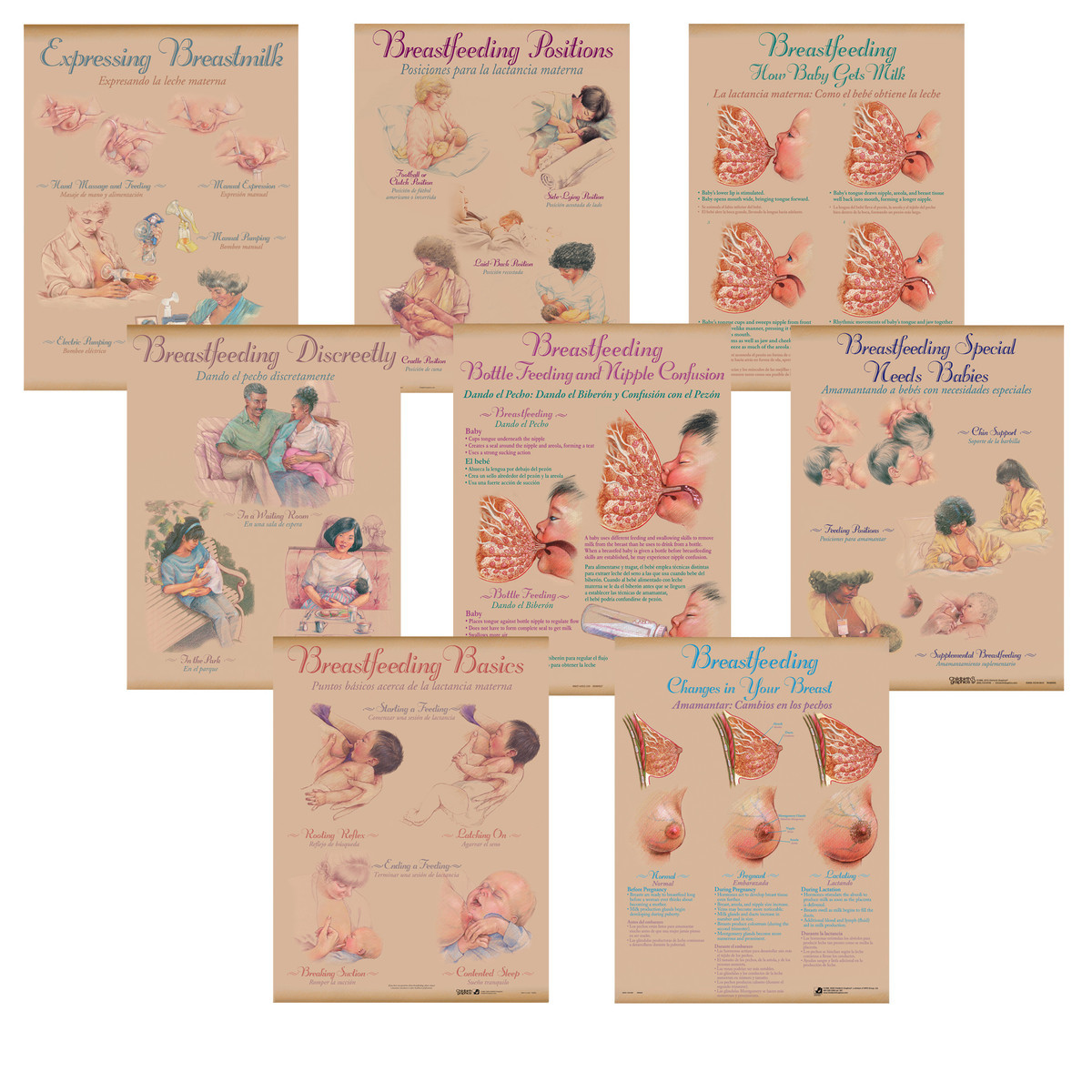 Breastfeeding Charts, Displays, and Posters
