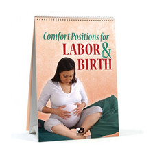 Comfort Positions For Labor and Birth Flip Chart