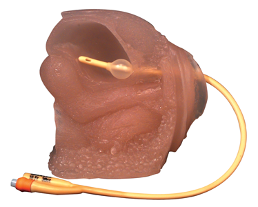 Infant, Female & Male Catheter Models and Simulators