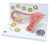 Stages of Fertilization and Embryo Model Stages of Fertilization and Embryo Model