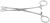 Foerster Sponge Forceps - Konig