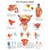 The Prostate Gland Chart The Prostate Gland Chart
