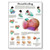 Breastfeeding Chart - 3B Scientific Breastfeeding Chart - 3B Scientific