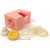 Female Pelvis Contraceptive Model Female Pelvis Contraceptive Model