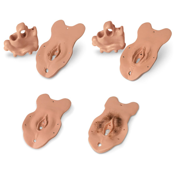 Pelvic Exam & Gynecological Simulator