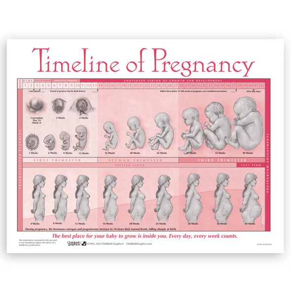 Timeline of Pregnancy Tear Pad