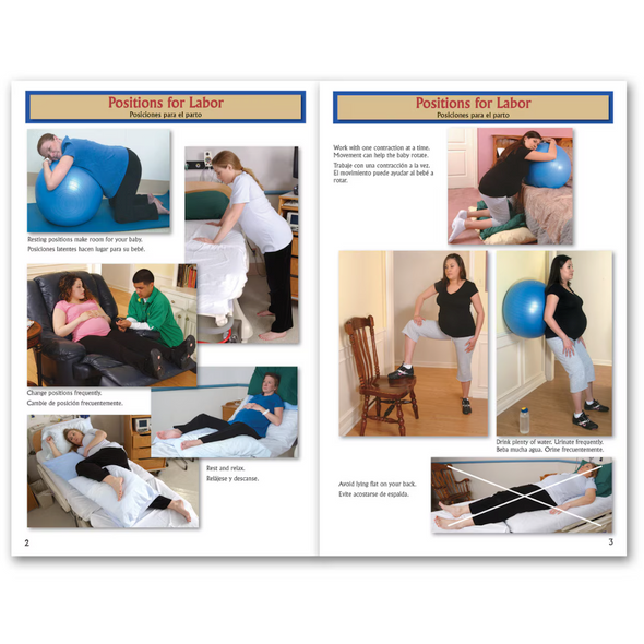 Birth Companion Booklet