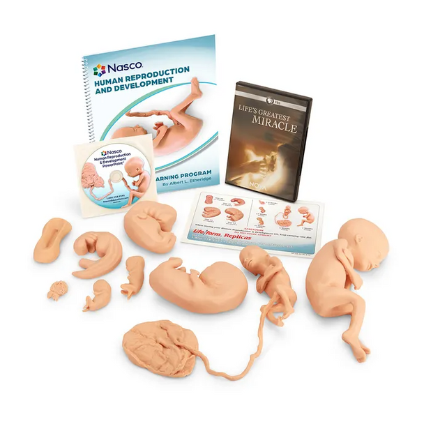 Human Reproduction and Development