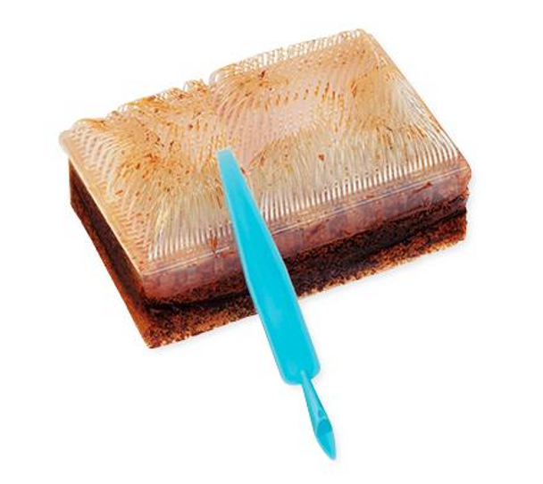 Scrub Brush E-Z Scrub with Iodine
