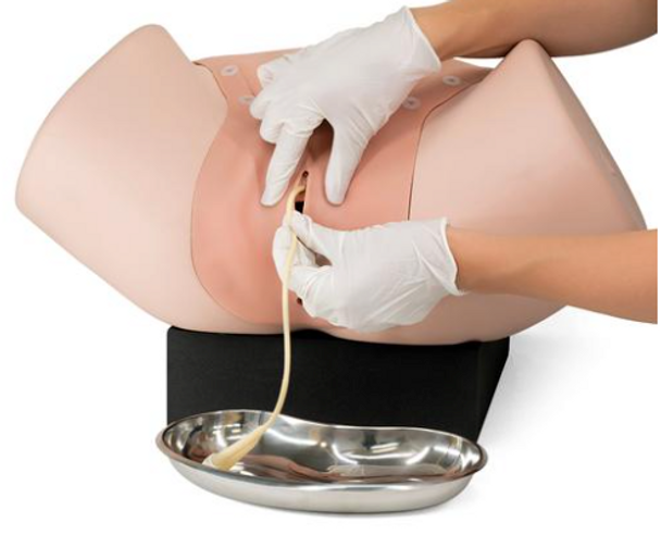 Gynecologic Skills Trainer