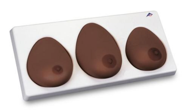 BSE Model, 3 Breast