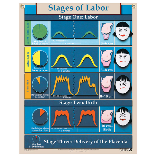 Six Essential Labor & Birth Wall Charts