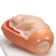 Birthing Process Models