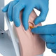 Catheterization Simulator Basic 