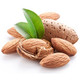 Sweet Refined Almond Oil