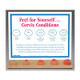 Feel For Yourself Cervix Conditions Display