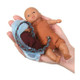 Childbirth Mini Model Set