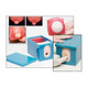 Fetal Monitoring & Labor Progress Model  - Childbirth Graphics