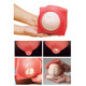 Fetal Monitoring & Labor Progress Model  - Childbirth Graphics