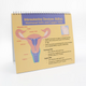 Understanding Birth Control Flip Chart