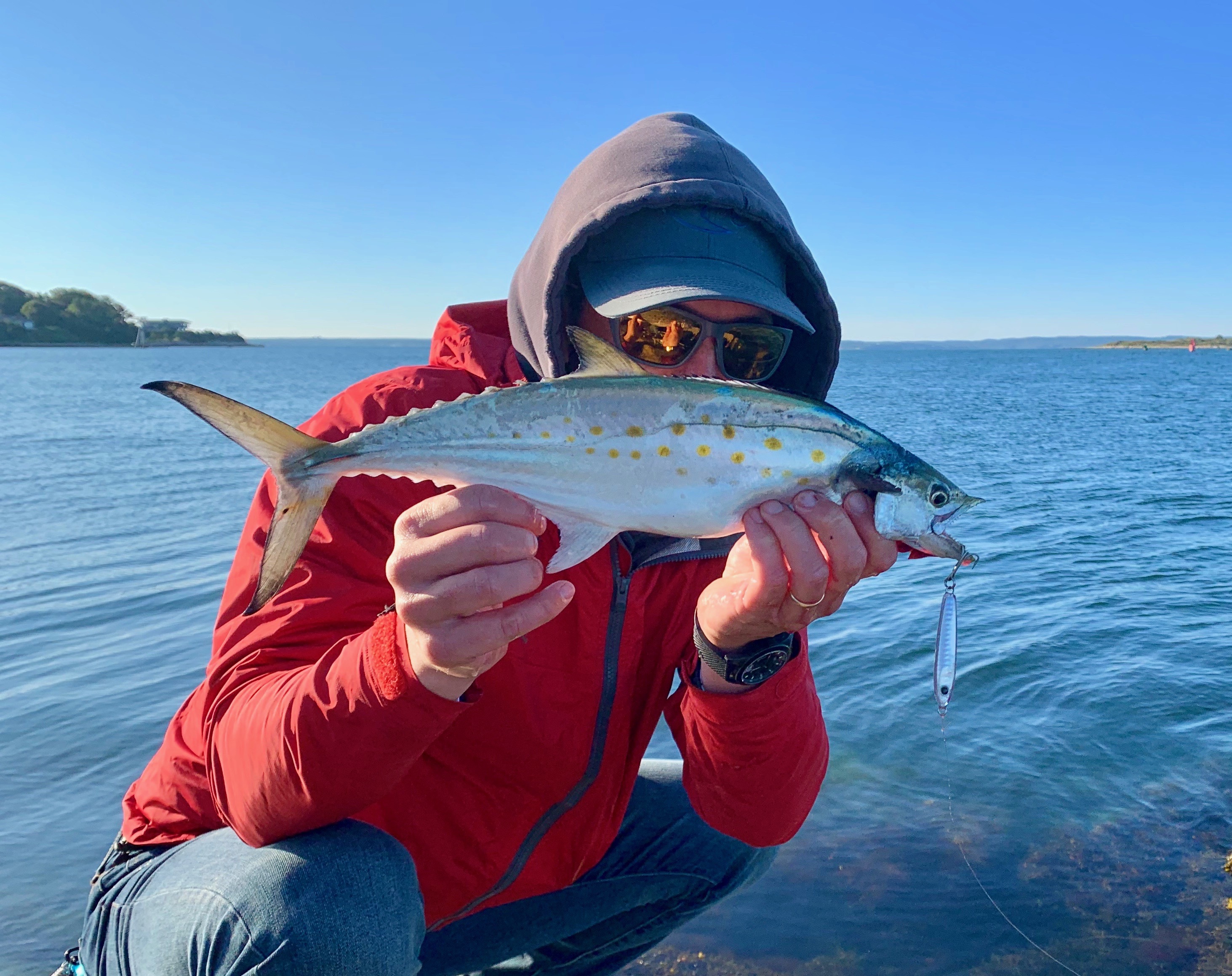 EXO Jig Spanish Mackerel