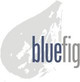 BLUE FIG