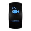 LIVEWELL rocker switch with laser-etched livewell / aerator icon, with the blue LED backlight on