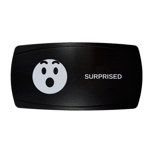 SURPRISED horizontal rocker switch with laser-etched surprised icon, in daylight