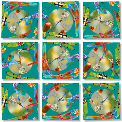 Dragon Flies Scramble Squares