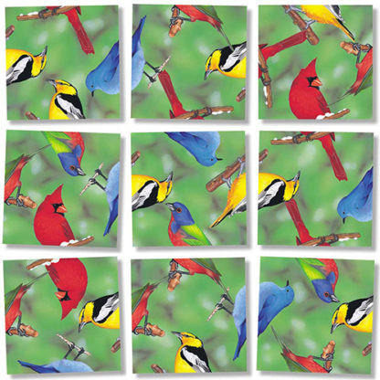North American Birds Scramble Squares