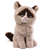 Grumpy Cat