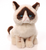 Grumpy Cat