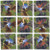 Yellowstone Scramble Squares